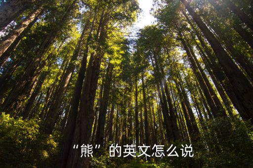 熊的英語怎么讀,怎么讀?看這里!