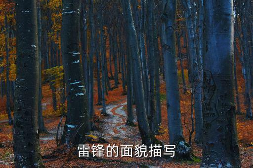 雷鋒的微笑,雷鋒向前線人員致敬