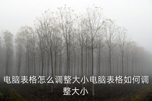 電腦表格怎么調整大小電腦表格如何調整大小