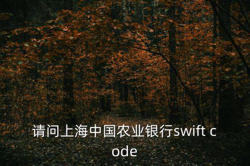 請問上海中國農業銀行swift code