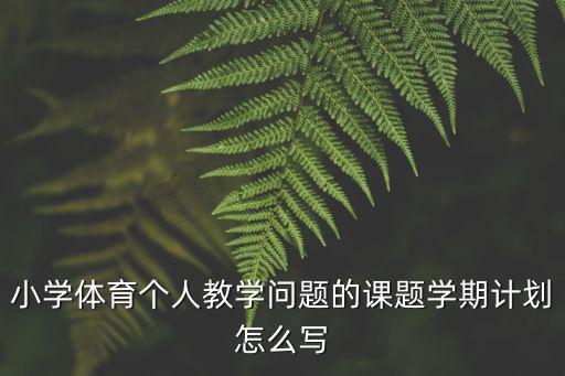小學體育個人教學問題的課題學期計劃怎么寫