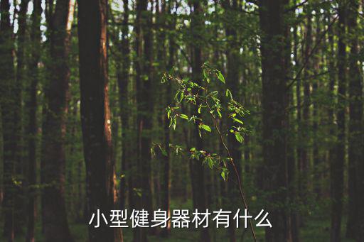 小型健身器材有什么