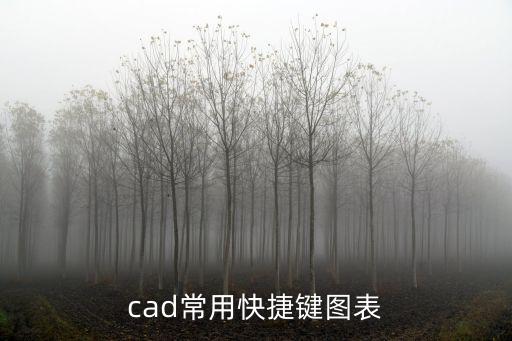 cad常用快捷鍵一覽表,cad成組快捷鍵有哪些?