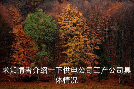 求知情者介紹一下供電公司三產公司具體情況