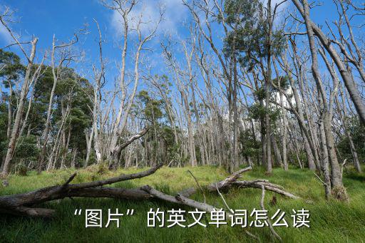 “圖片”的英文單詞怎么讀