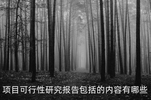 項目研究報告,項目可行性研究報告主要包括兩個部分