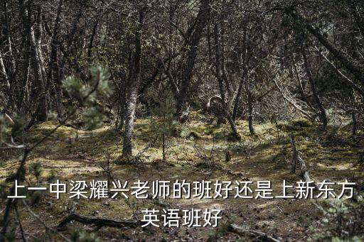 上一中梁耀興老師的班好還是上新東方英語班好