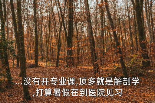 ...沒有開專業課,頂多就是解剖學,打算暑假在到醫院見習