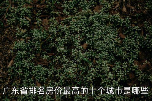 廣東省排名房價最高的十個城市是哪些