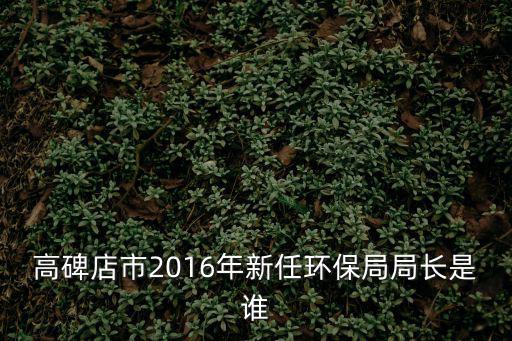 高碑店市2016年新任環保局局長是誰