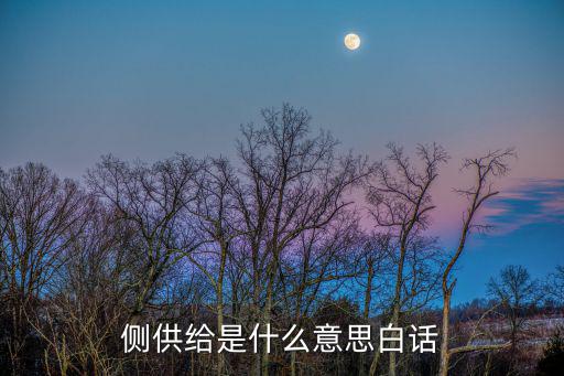 側供給是什么意思白話