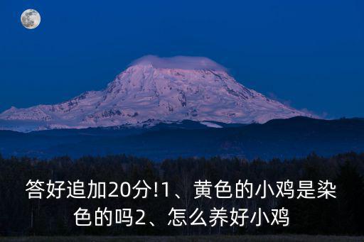 答好追加20分!1、黃色的小雞是染色的嗎2、怎么養好小雞