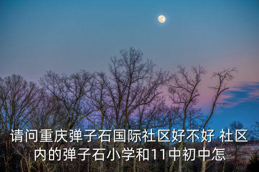 請問重慶彈子石國際社區好不好 社區內的彈子石小學和11中初中怎