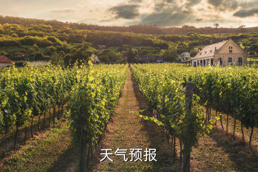 天氣預(yù)報