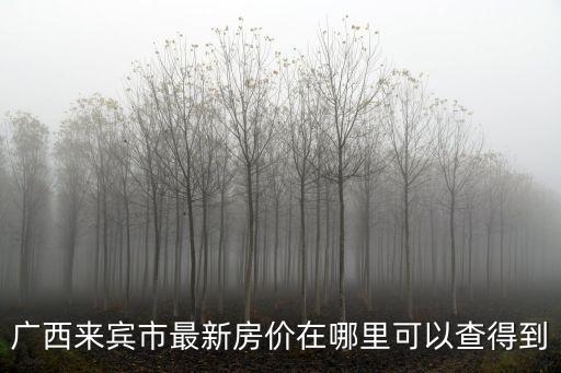 如何看待來賓房價，廣西來賓市最新房價在哪里可以查得到