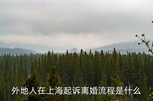 外地人在上海起訴離婚流程是什么