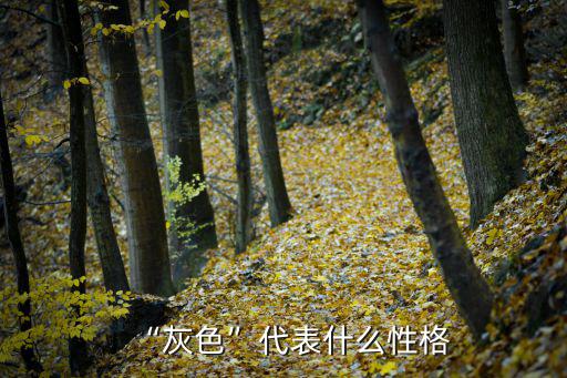 “灰色”代表什么性格