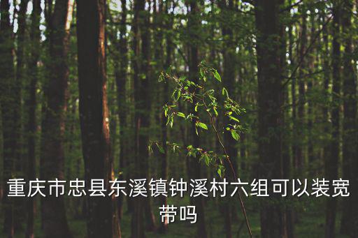 重慶市忠縣如溪白廟小學，汝州市西耳區有幾個小學