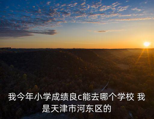 我今年小學成績良c能去哪個學校 我是天津市河東區的