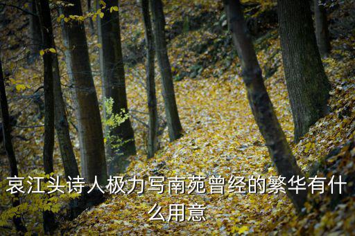 哀江頭詩人極力寫南苑曾經的繁華有什么用意