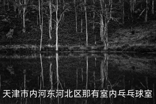 天津市內(nèi)河?xùn)|河北區(qū)那有室內(nèi)乓乓球室