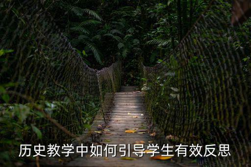 歷史教學(xué)反思，急求歷史的教育反思100字左右
