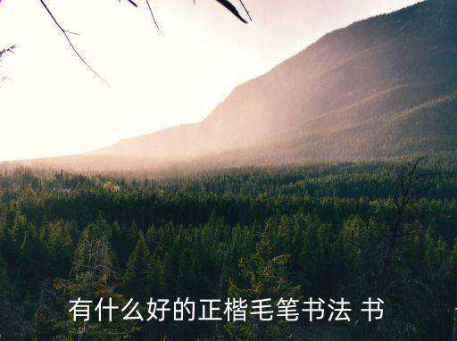 正楷毛筆字，有什么好的正楷毛筆書法 書