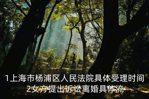 1上海市楊浦區人民法院具體受理時間 2女方提出訴訟離婚具體流