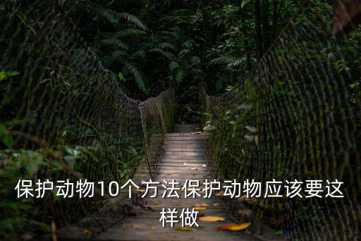 保護動物10個方法保護動物應該要這樣做