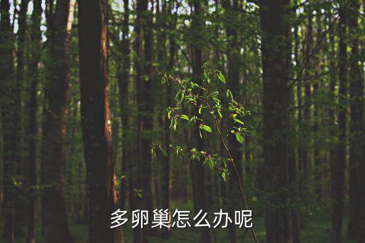多卵巢怎么辦呢