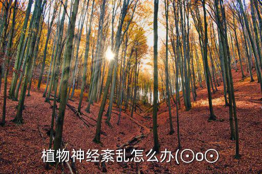 養心安神湯,植物神經紊亂怎么辦?醒腦補神湯能治療什么?