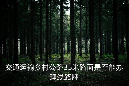 交通運輸一網通辦，交通運輸鄉村公路35米路面是否能辦理線路牌