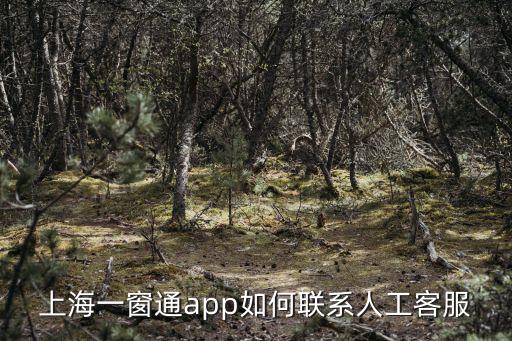 上海一窗通app如何聯系人工客服