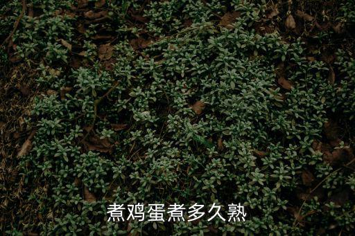 雞蛋多久可以煮熟,雞蛋怎么煮才能煮熟?