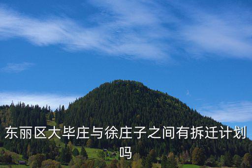 東麗區大畢莊與徐莊子之間有拆遷計劃嗎