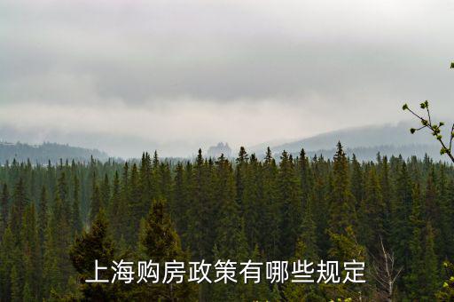 上海市 2018首臺(tái)套政策，2018年上海新政策大專(zhuān)學(xué)歷還加積分嗎內(nèi)行知道的講下這兩天聽(tīng)
