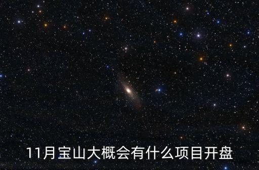 上海寶山新樓盤2022年開盤，11月寶山大概會有什么項目開盤