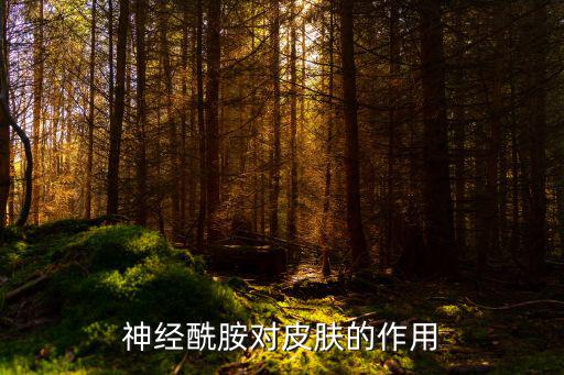 神經(jīng)酰胺的作用與功效,神經(jīng)酰胺含量減弱皮膚干燥脫屑需補充