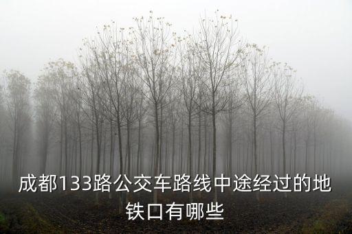 成都133路公交車路線中途經過的地鐵口有哪些