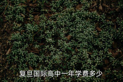復(fù)旦國際高中一年學(xué)費(fèi)多少