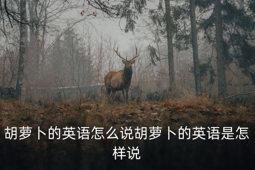 胡蘿卜的英語怎么說胡蘿卜的英語是怎樣說