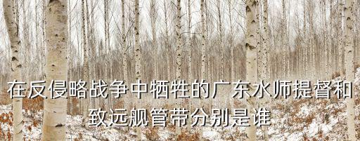 致遠艦管帶,廣東水師提督和致遠艦管帶是誰的?