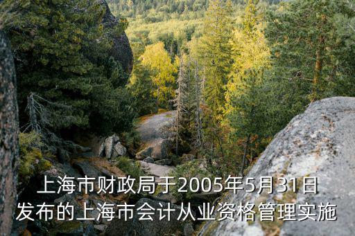 上海市財政局于2005年5月31日發布的上海市會計從業資格管理實施
