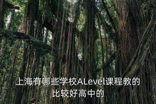 上海有哪些學校ALevel課程教的比較好高中的