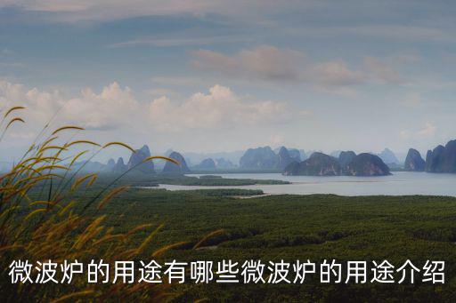 微波爐的用途大全,微波爐有哪些作用和功能?