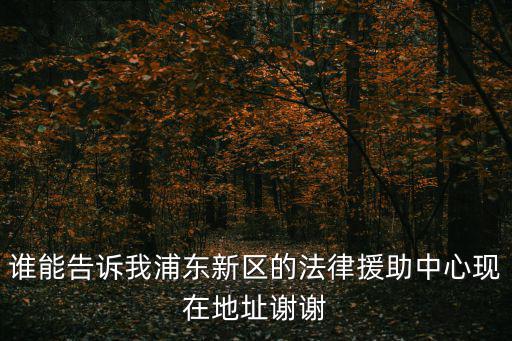 誰能告訴我浦東新區(qū)的法律援助中心現(xiàn)在地址謝謝