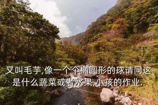 又叫毛芋,像一個個橢圓形的球請問這是什么蔬菜或者水果,小孩的作業...