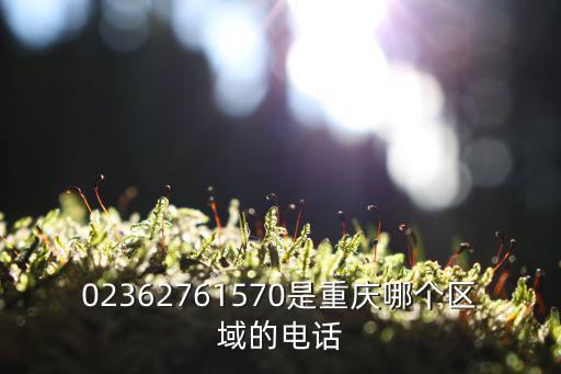 02362761570是重慶哪個區(qū)域的電話