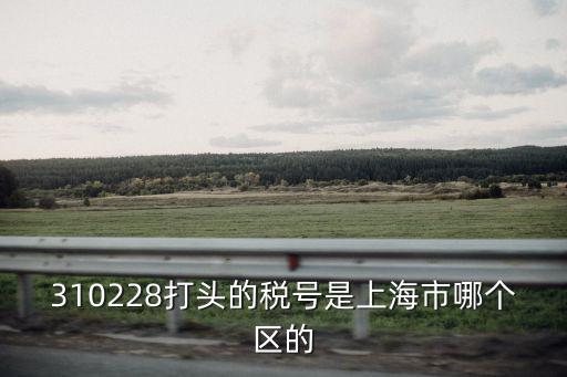 上海市楊浦區(qū)市東醫(yī)院稅號，310228打頭的稅號是上海市哪個(gè)區(qū)的