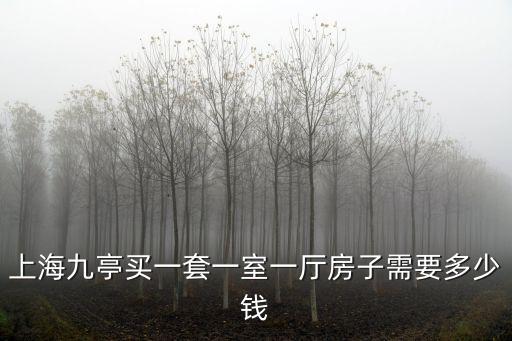 上海九亭買一套一室一廳房子需要多少錢